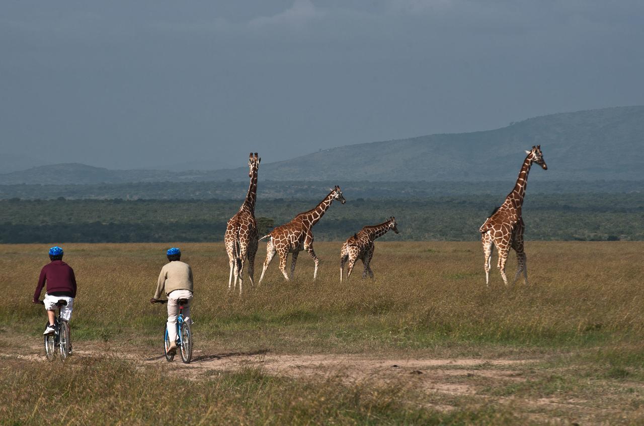 Villa Kicheche Laikipia Camp Ol Pejeta Conservancy Esterno foto